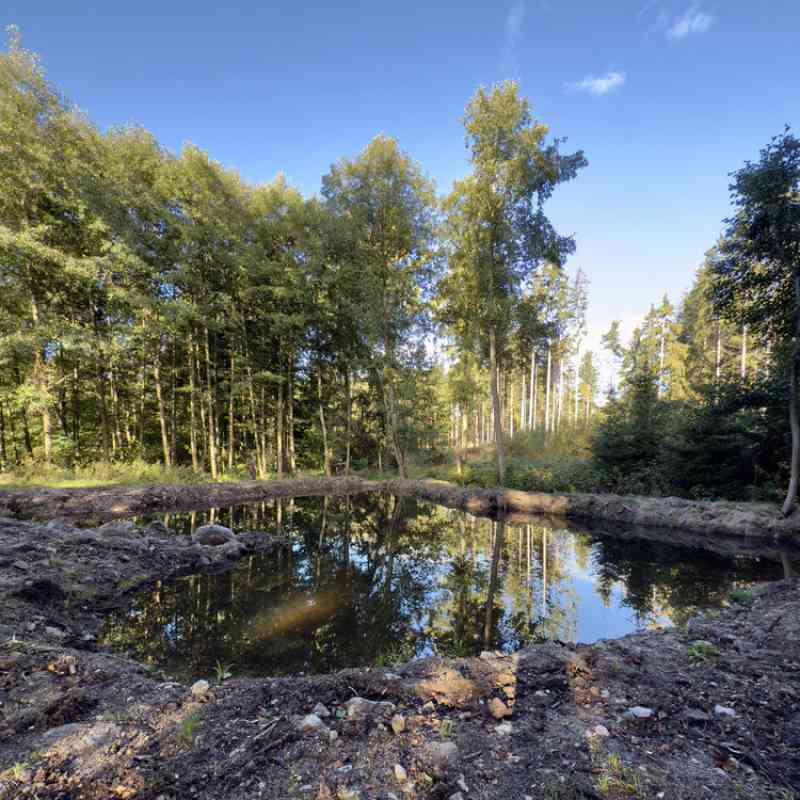 Lázeňské lesy a parky budují nové tůně. Přispějí k zadržení vody v krajině i zvýšení biodiverzity