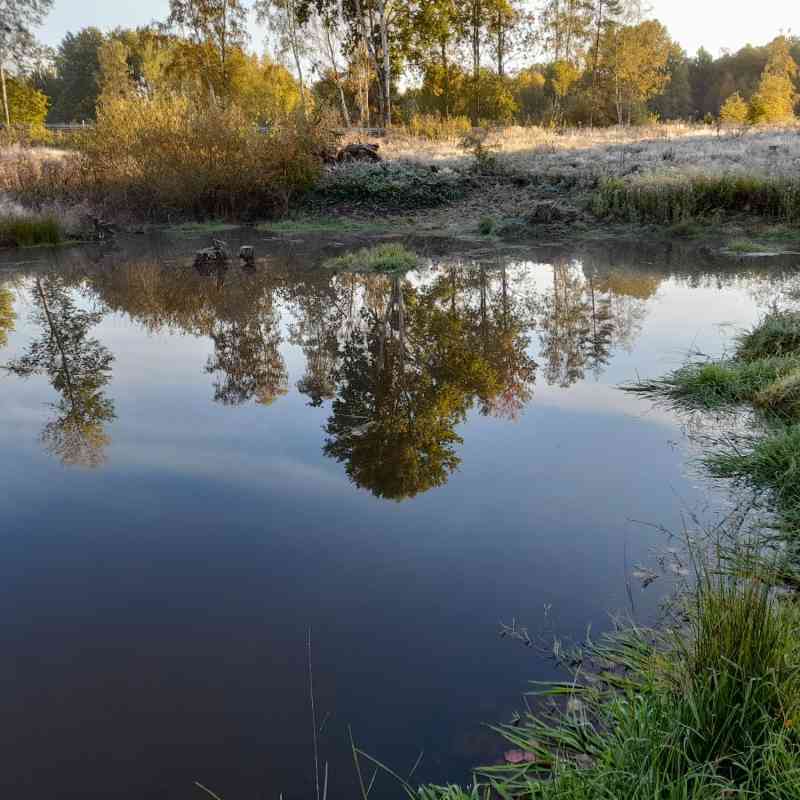 Lázeňské lesy dlouhodobě spolupracují se Správou CHKO Slavkovský les. Výsledkem je vznik pestřejší, přírodě blízké krajiny
