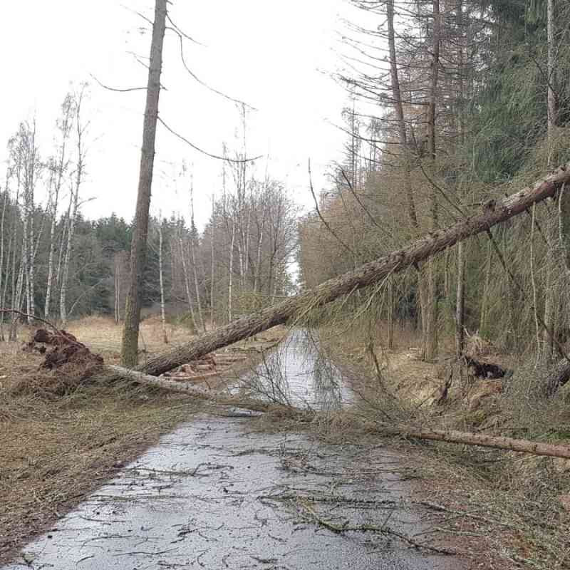 DOPORUČENÍ: Při silném větru nevstupujte do lesa, nepohybujte se pod polomy!
