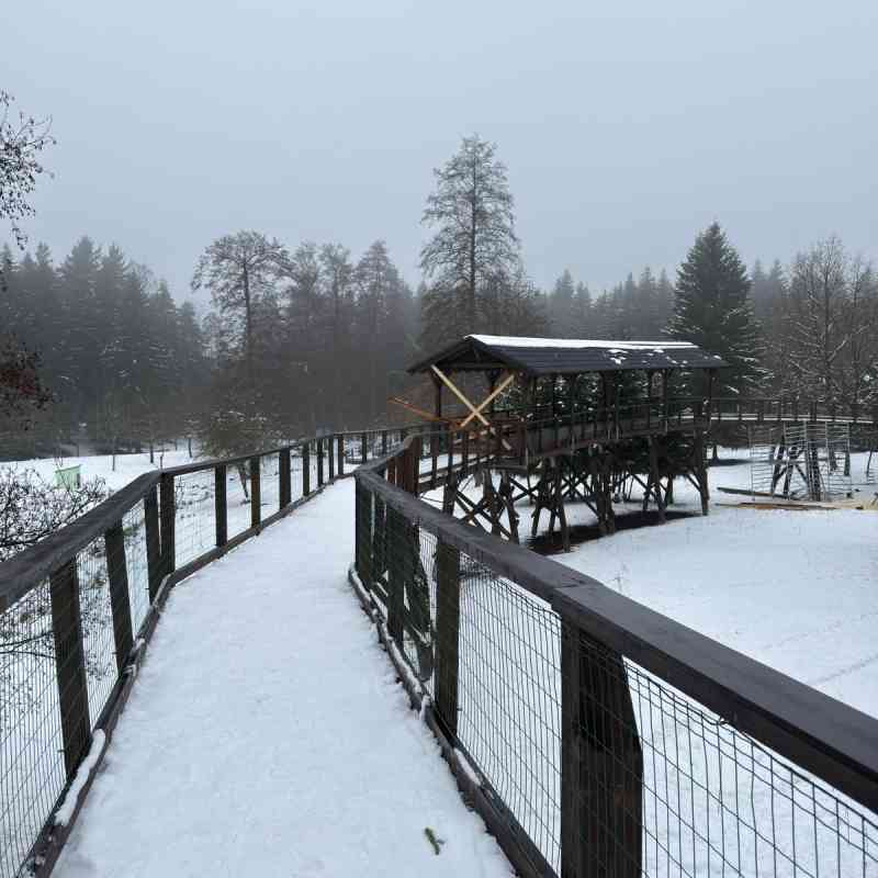 Rekonstrukce pozorovací lávky daňků čeká poslední fáze