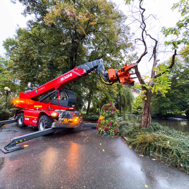 Ve Dvořákových sadech proběhlo havarijní kácení tří stromů