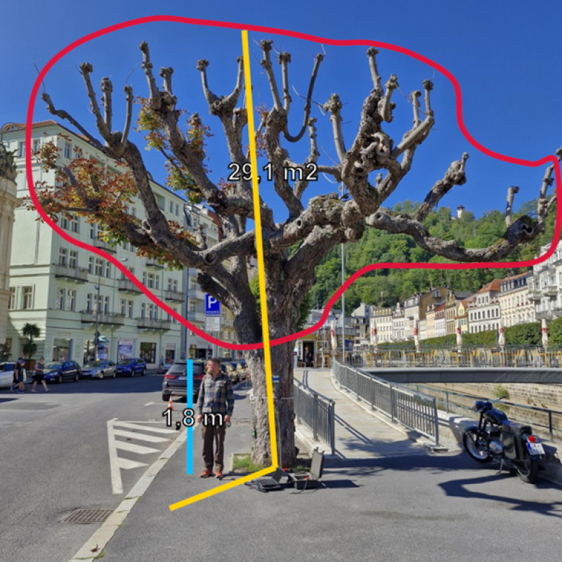 K posuzování zdravotního stavu stromů ve městě používáme akustický 3D tomograf