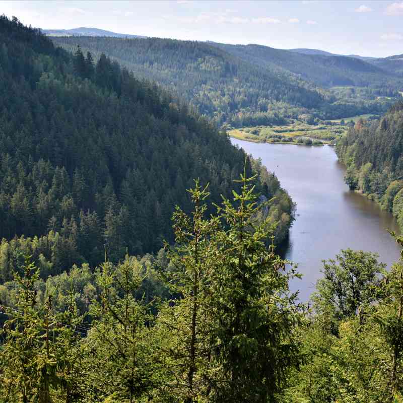 V lázeňských lesích vznikne zvláště chráněné území