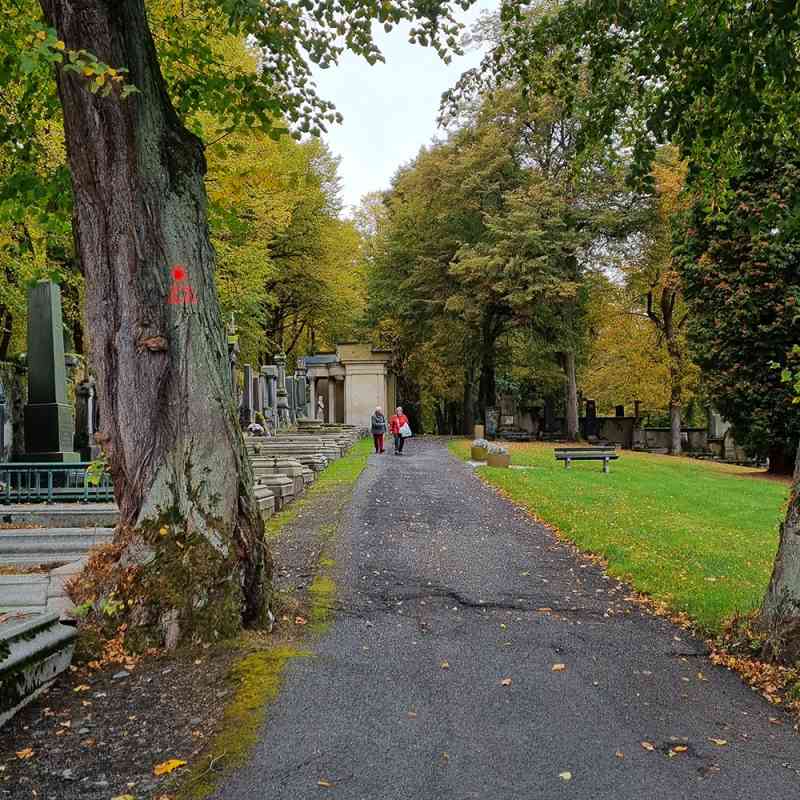 Opravy chodníků na hřbitově v Drahovicích
