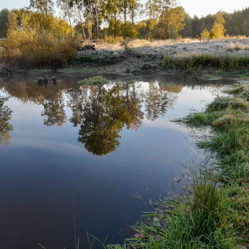 Tisková zpráva - Tůně v lázeňských lesích přispějí k zadržení vody v krajině i zvýšení biodiverzity