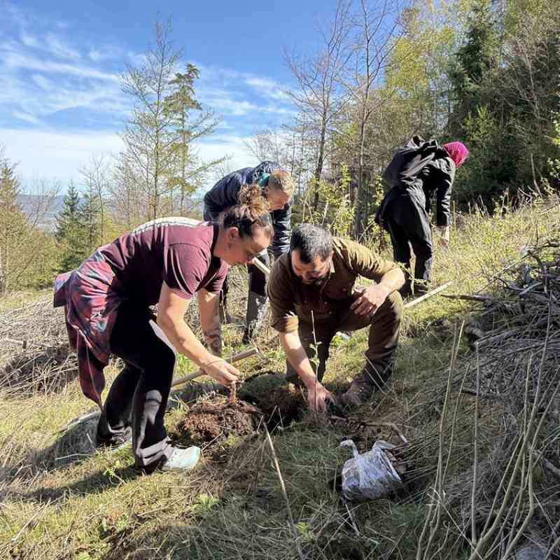 Desítky lidí pomohly vysadit nový porost v karlovarských lesích