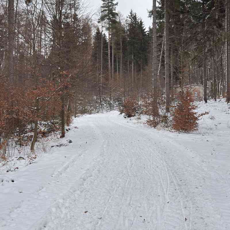 Vezměte sáňky a boby a vyrazte na Linhart!