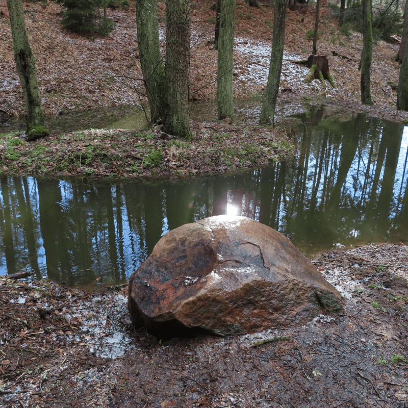 Tisková zpráva - Vodní prvky vznikající v lázeňských lesích slouží ke zvýšení ekologické stability i druhové rozmanitosti