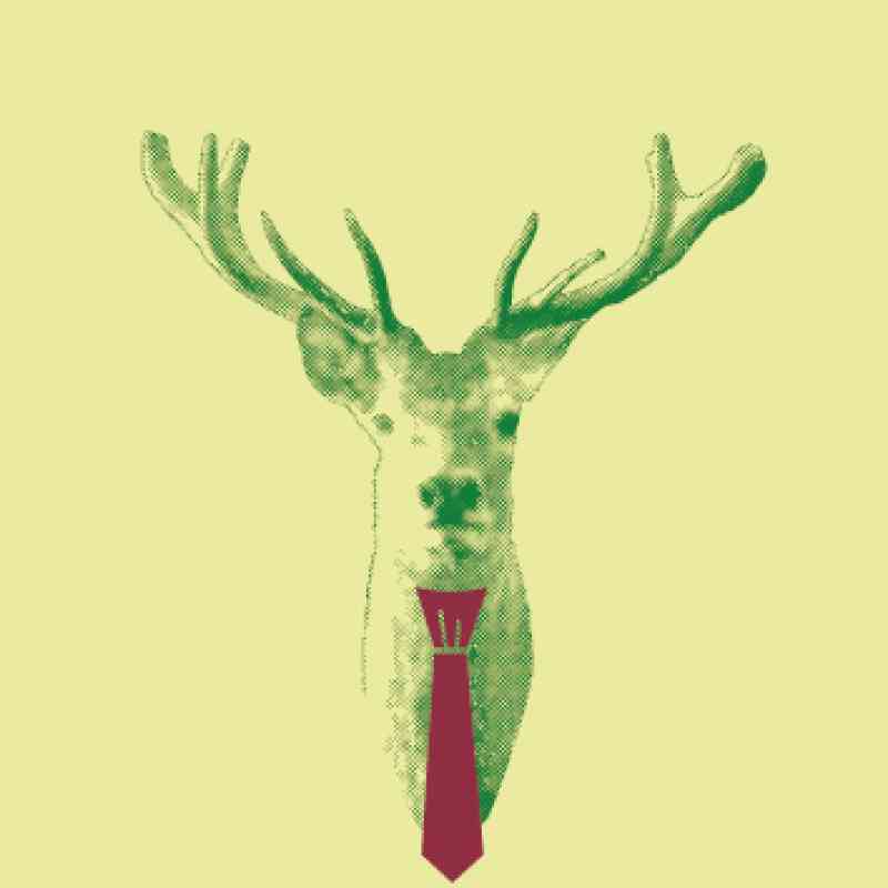 Karlovarský jelen už tuto sobotu. Myslivecko-lázeňský ples ovládne Vřídelní kolonádu, zbývají poslední vstupenky na sezení