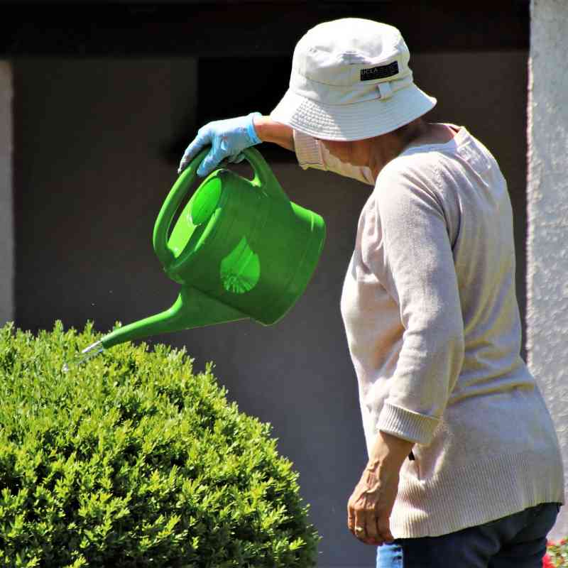 Senioři se mohou zapojit do péče o zeleň