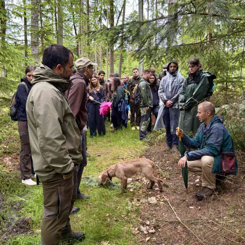 Lázeňské lesy přivítaly terénní cvičení studentů ČZU