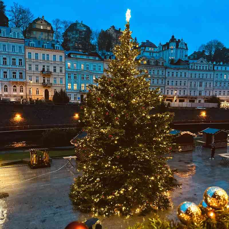 Karlovy Vary hledají vánoční strom. Zapojte se i vy!