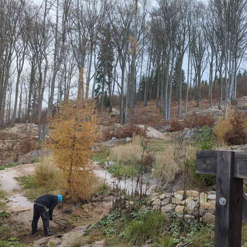 GOEtrail po podzimní údržbě. Další práce budou pokračovat v příštím roce