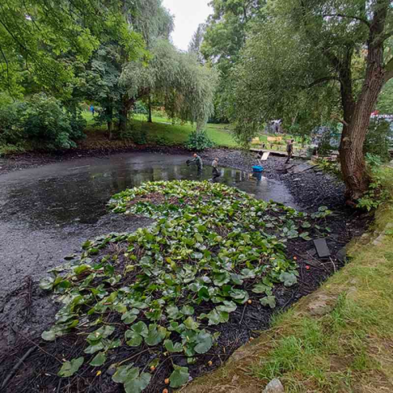 Revitalizace rybníčku v Mozartově ulici odstartovala