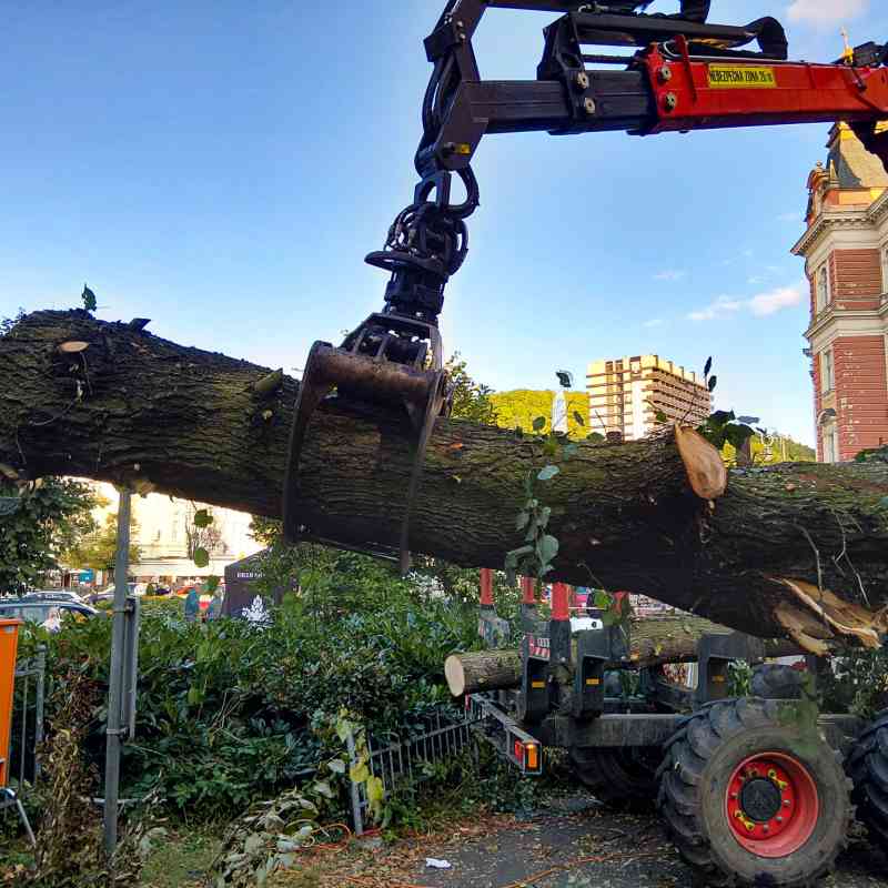 Pád stromu ve Smetanových sadech
