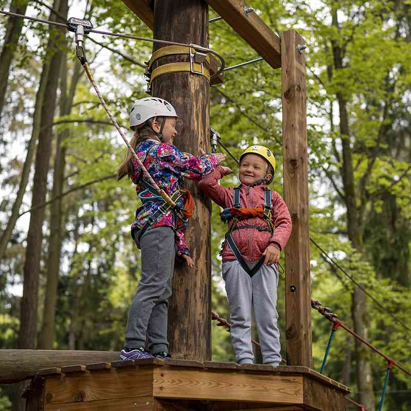 Lesy volají! Užijte si slunečný víkend na rozhlednách a v korunách stromů
