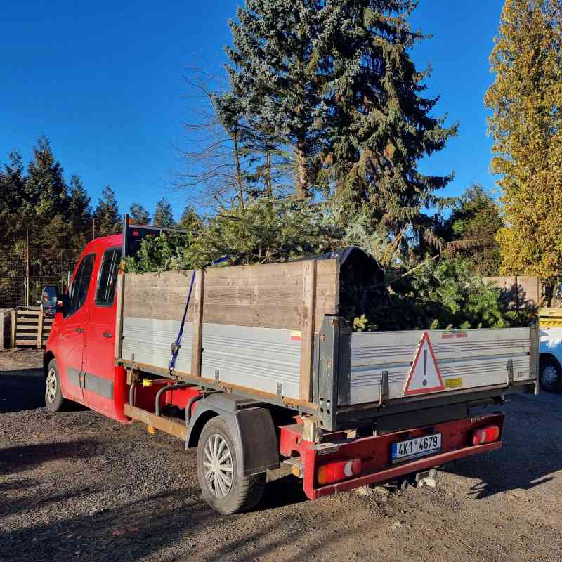 Svoz vánočních stromků začne po svátcích