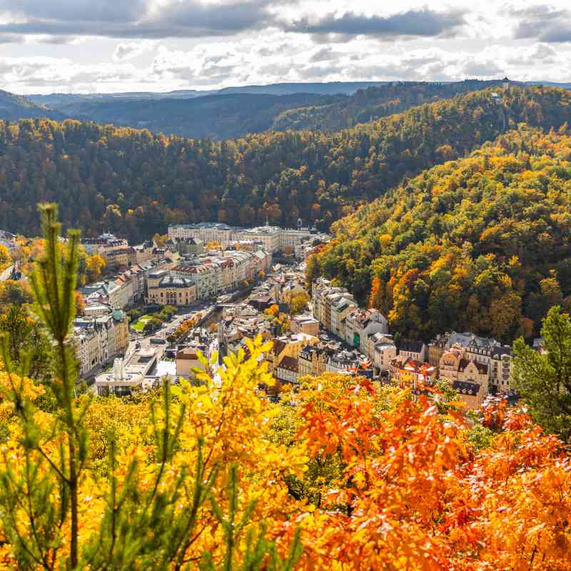 Ukažte nám své oblíbené místo v lázeňských lesích. Spouštíme fotografickou výzvu