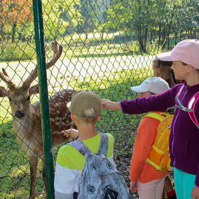 Lesní pedagogika pro školy opět s možností úhrady dopravy od Karlovarského kraje