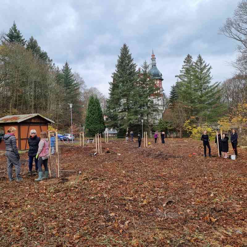 20 třešní nahradilo jírovcový sad u Myslivny