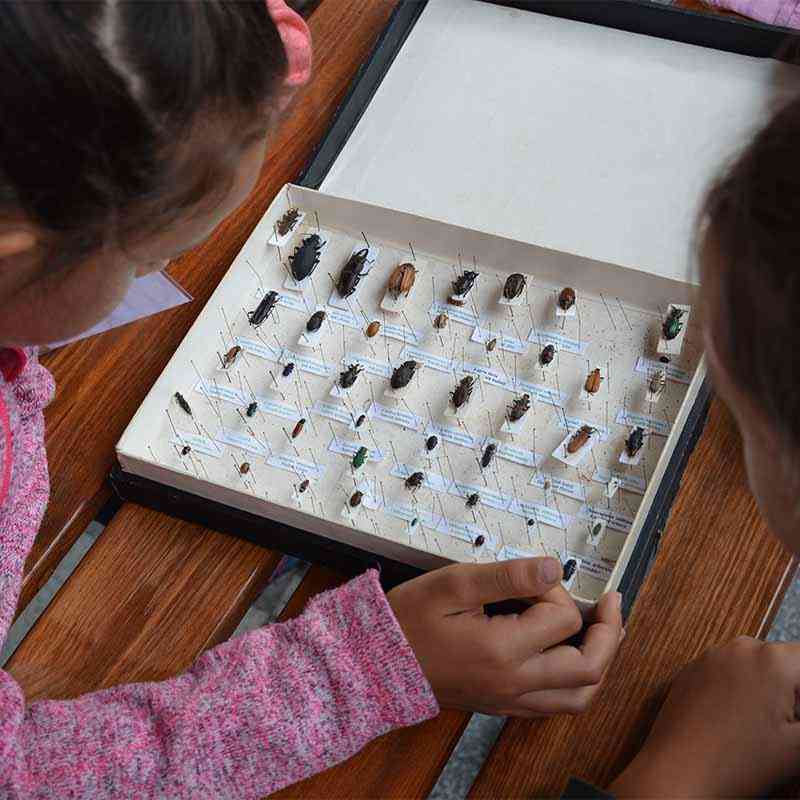 Registrace do Přírodovědného kroužku na školní rok 2025/26 spuštěna