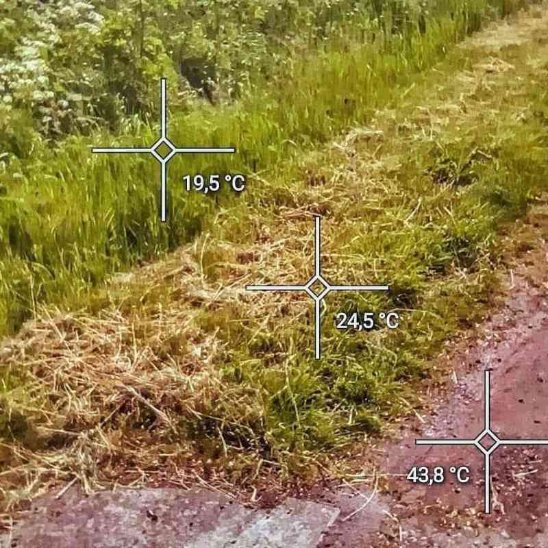 Sekat či nesekat? A jak často?