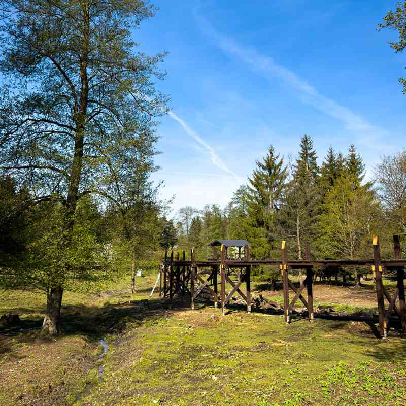 Práce na pozorovací lávce daňků pokračují